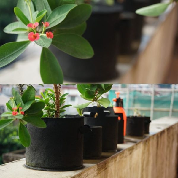 3 Gallon Planting Grow Bag Thickened Non-woven Aeration Fabric Pot Container with Handle - Image 9