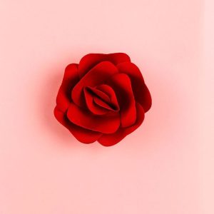 Rose Creative Paper Cutting Shooting Props Flowers Papercut Jewelry Cosmetics Background Photo Photography Props (Red)