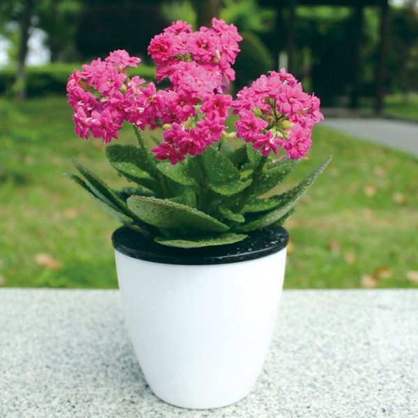 Lazy Flower Pots Automatic Water-absorbing Hydroponic Potted Plants Circular Resin Plastic Flower Pots Double-layer Design Self Watering Planter, Diameter: 11cm, Height: 10.3cm (White) - Image 8