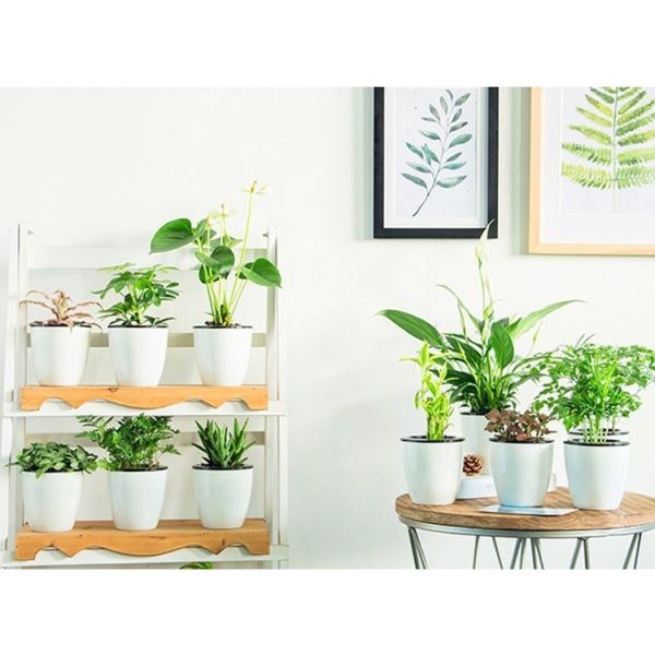 Lazy Flower Pots Automatic Water-absorbing Hydroponic Potted Plants Circular Resin Plastic Flower Pots Double-layer Design Self Watering Planter, Diameter: 12cm, Height: 12.2cm (White) - Image 6