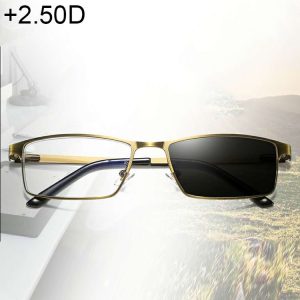 Dual-purpose Photochromic Presbyopic Glasses, +2.50D (Gold)