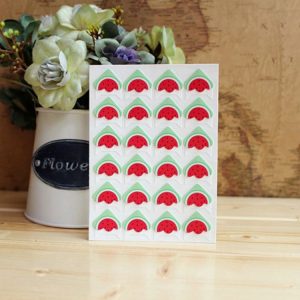 2 PCS Fruit Cartoon Album Cute Sticker Scrapbook Set Handmade Decoration (Watermelon)