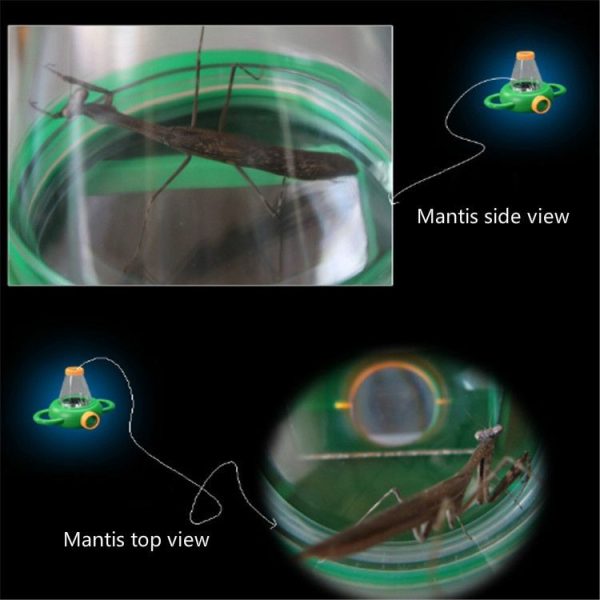 4X Handheld Insect Magnifier Kindergarten Teaching Aids - Image 5
