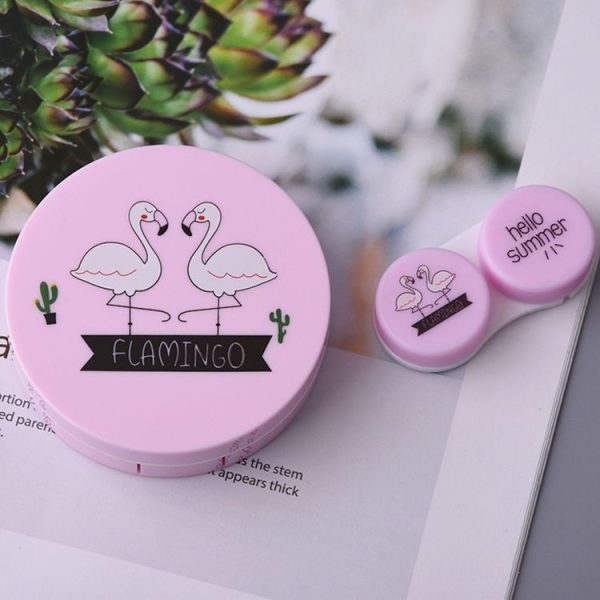2 Pairs Contact Lens Box Beauty Box Invisible Mate Box Care Box, Random Color Delivery