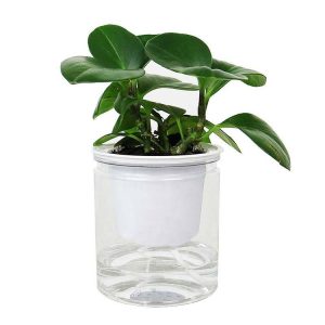 Automatic Water Absorption Hydroponic Pot Succulent Plant Flower Pot, Style: Transparent Without Words