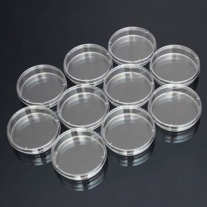 10 PCS Polystyrene Sterile Petri Dishes Bacteria Dish Laboratory Biological Scientific Lab Supplies, Size: 60mm