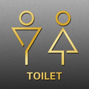 19 x 14cm Personalized Restroom Sign WC Sign Toilet Sign, Style: Triangle-Golden Public