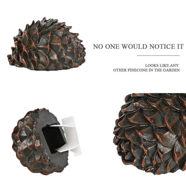 Simulated Stone Pine Nut Safe Key Box For Hiding Private Money, Shape: Stone - Image 4