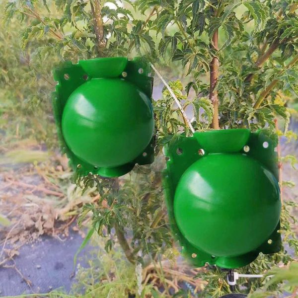 2pcs Plants Growth High Pressure Box Spherical Root Controller Grafting Root Cases, Model: S Black 50mm - Image 11