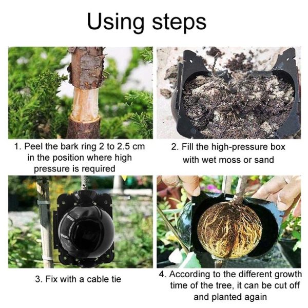 2pcs Plants Growth High Pressure Box Spherical Root Controller Grafting Root Cases, Model: S Black 50mm - Image 9