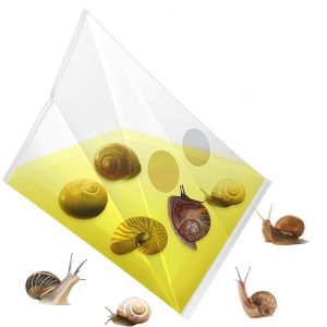 20pcs / Pack Snail Slug Trap Bag Garden Vegetable Plot Trap Transparent Plastic Bag