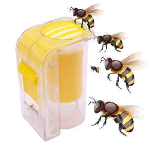 Queen Bee Marker Bottle Beekeeping Tool Bee King Cage Export Mark Bottle
