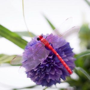4 PCS / Set Simulation Dragonfly Magnetic Refrigerator Stickers Home Wall Garden Decoration (Pin)
