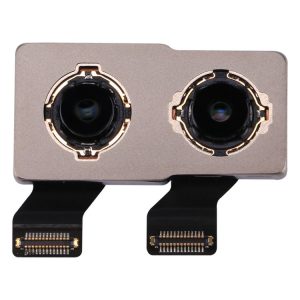 Ipxg7313 1.jpg