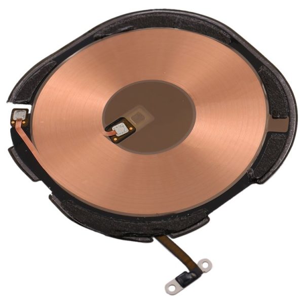 Ipxr0466 3.jpg