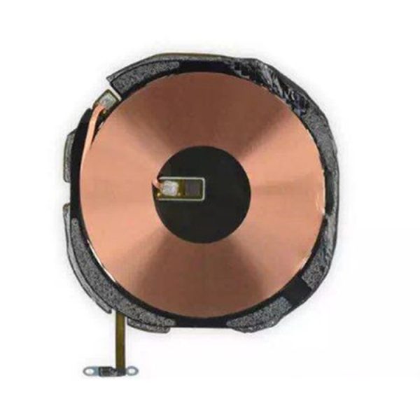 Ipxr5202 2.jpg