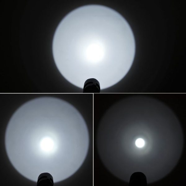 S Ca 8021 7.jpg