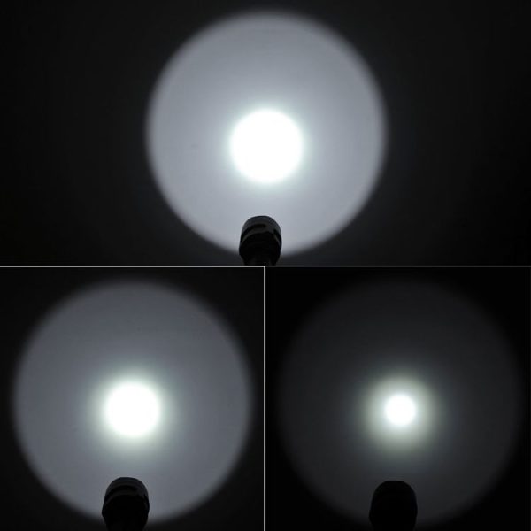 S Ca 8091 6.jpg